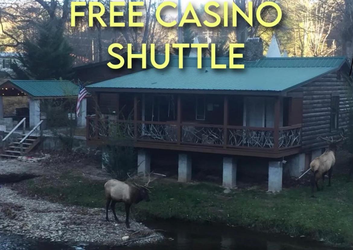 Qualla Cabins And Motel Cherokee Near Casino Whittier Bagian luar foto