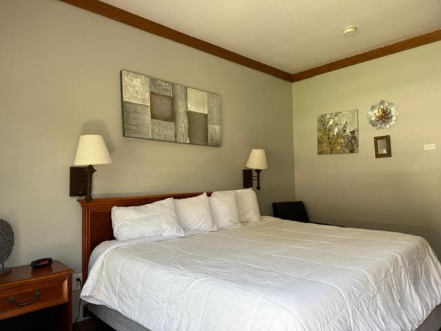 Qualla Cabins And Motel Cherokee Near Casino Whittier Bagian luar foto