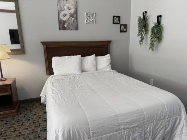 Qualla Cabins And Motel Cherokee Near Casino Whittier Bagian luar foto